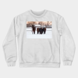 Four horses grazing on snowy pasture Crewneck Sweatshirt